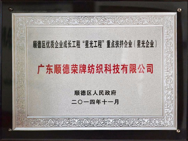 金年会-2012年获顺德政府颁发“星光企业”称号